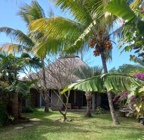 Brahmanhut - Eco Hut Experience In Harmony With Nature, Wellbeing And Spirit Apartment Bain Boeuf Exterior photo