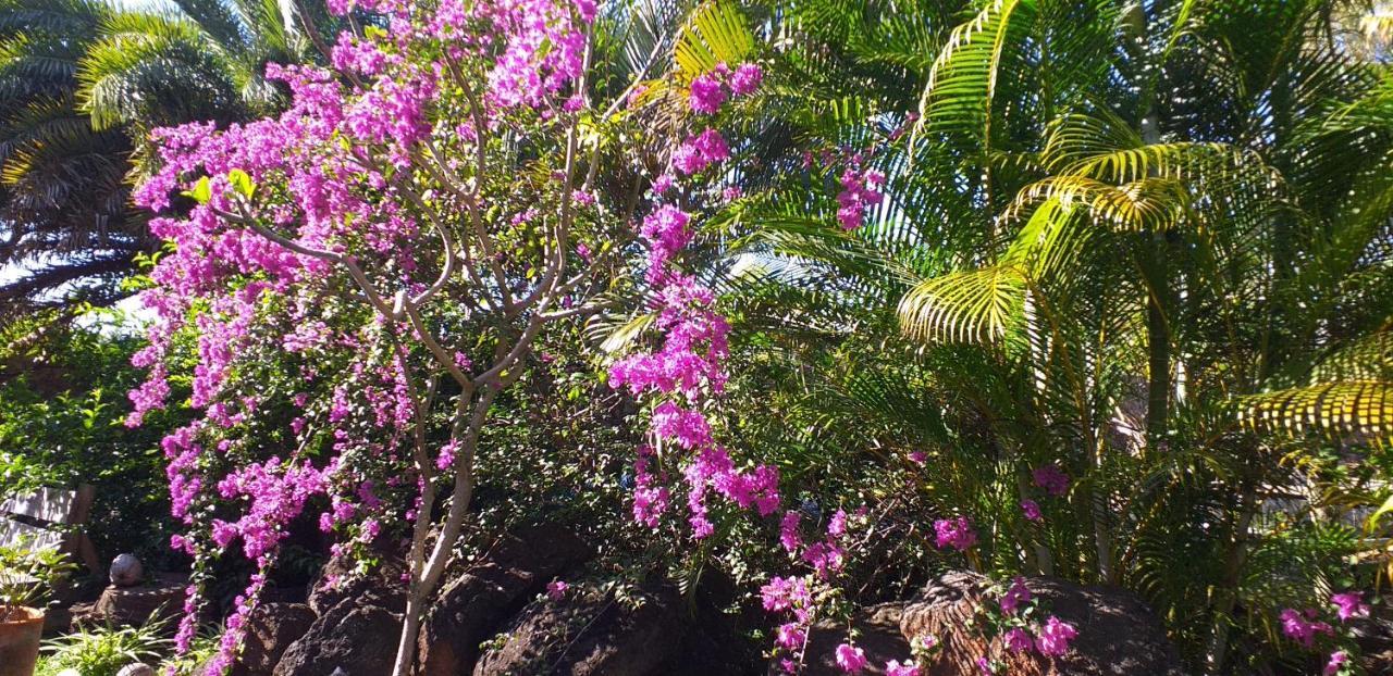 Brahmanhut - Eco Hut Experience In Harmony With Nature, Wellbeing And Spirit Bain Boeuf Exterior photo